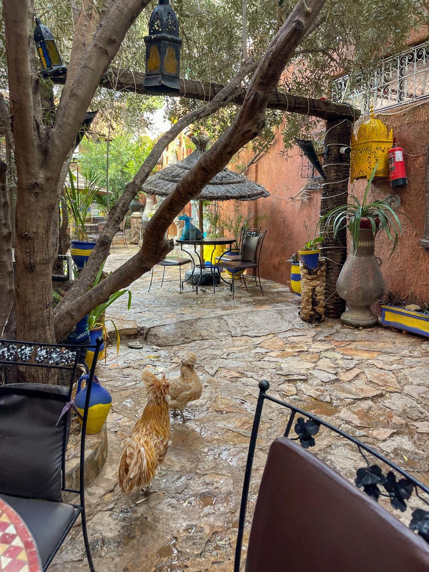 Auberge Le Refuge Aksri エクステリア 写真